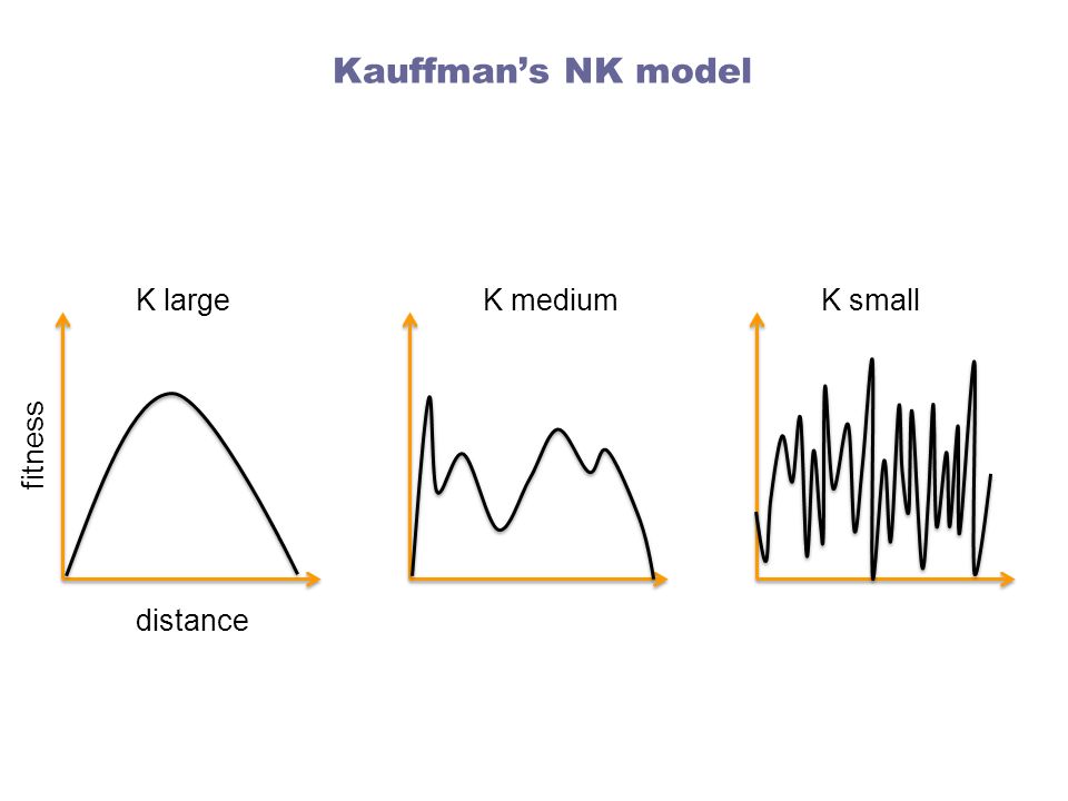 Kauffman’s NK model K large K medium K small fitness distance